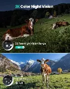 Câmeras de segurança com suporte à exibição local