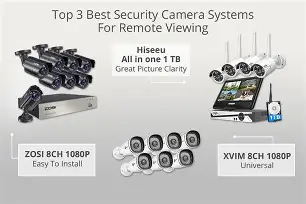 Remote viewing with multiple camera feeds